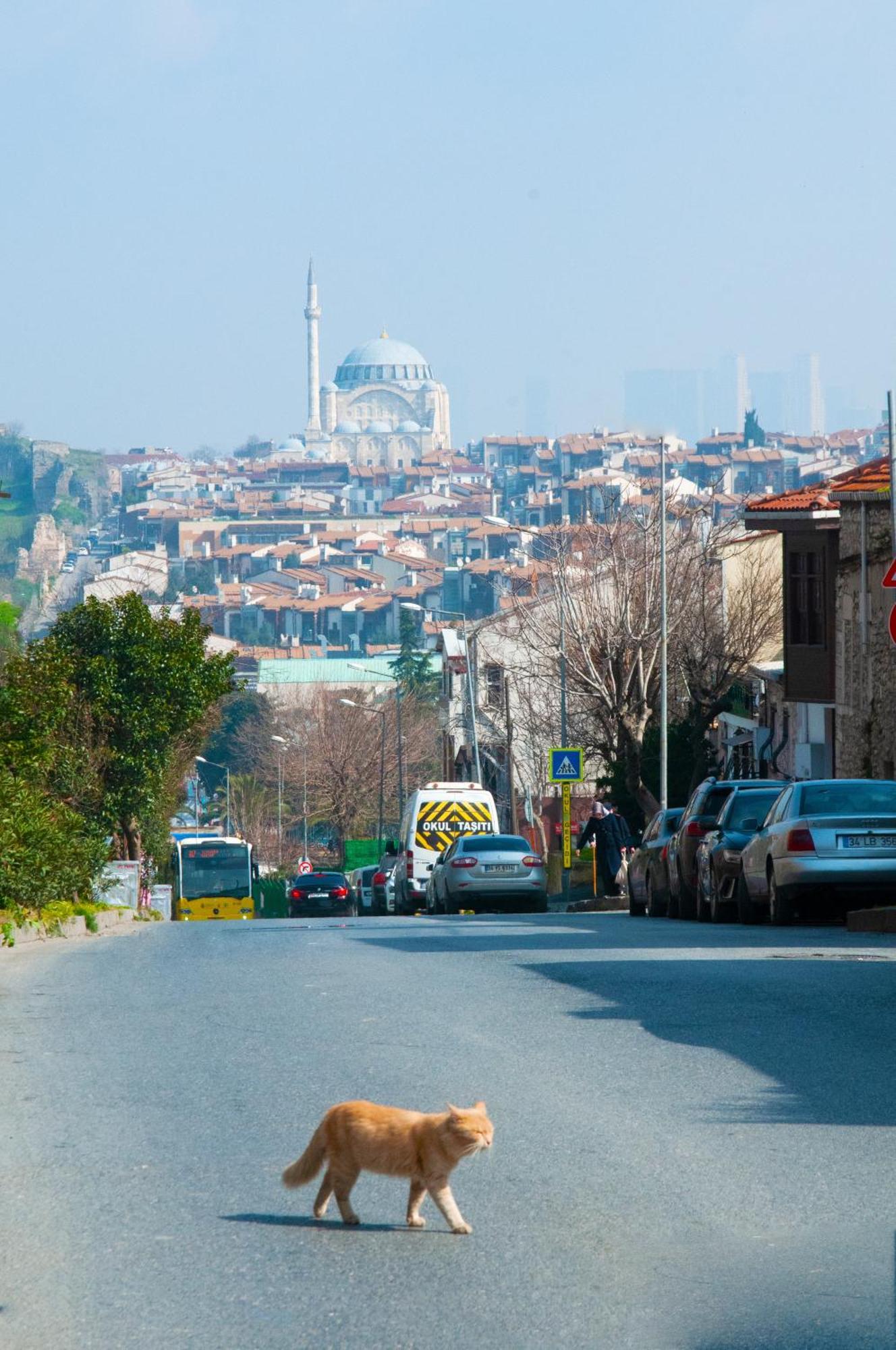 Istanbul Efes Hotel Luaran gambar